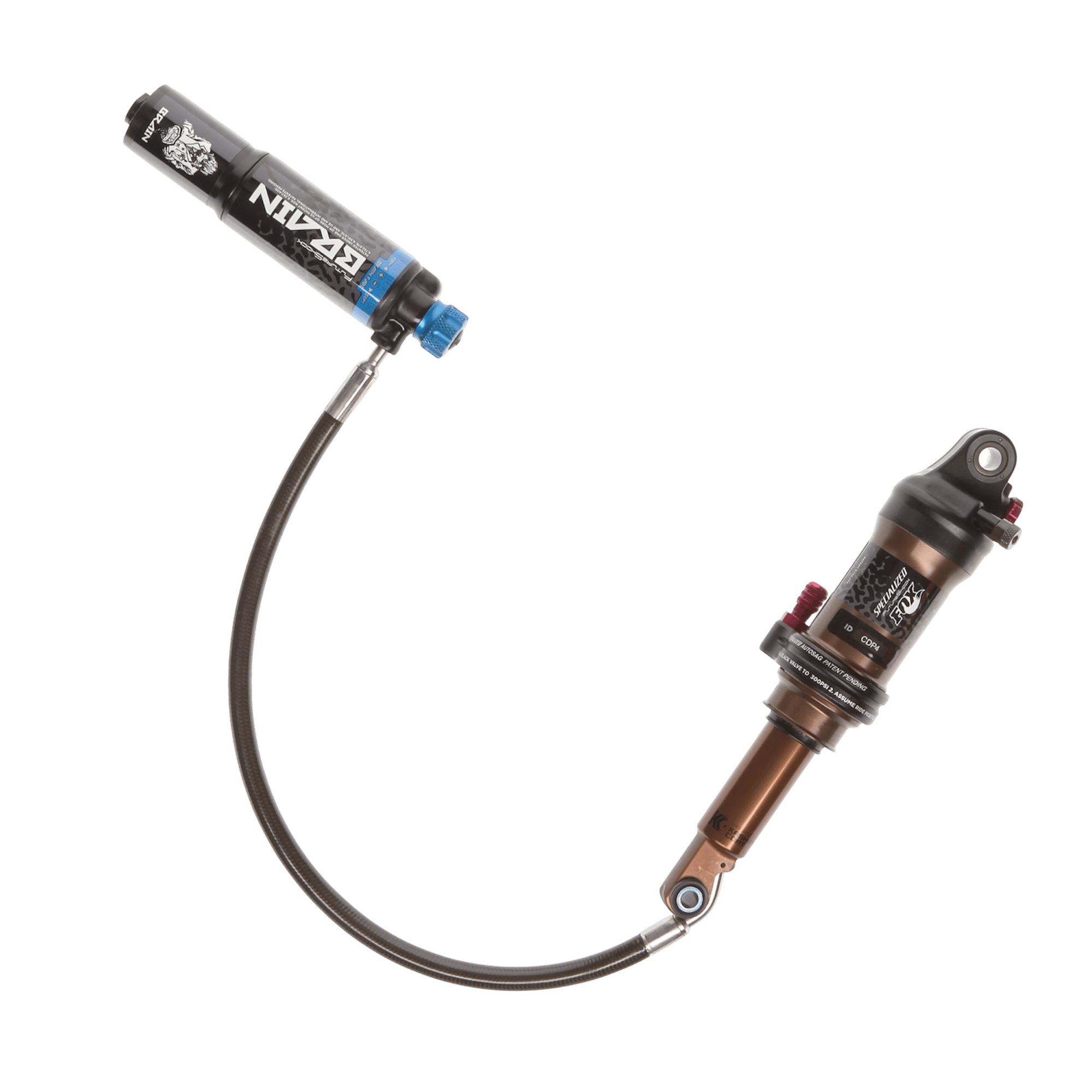 Mantenimiento amortiguador FOX brain